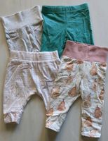 Set Hosen Baby Größe 56 Berlin - Hellersdorf Vorschau