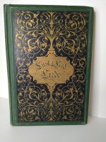 ~1883 Lust und Leid im Liede - Poesie/ Lyrik des 19. Jahrhunderts Pankow - Weissensee Vorschau