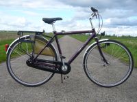 Giant Jungen/Herren  Fahrrad 28 Zoll Niedersachsen - Hesel Vorschau