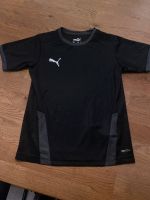 Puma Fußball Shirt Trikot 128 Niedersachsen - Wittingen Vorschau