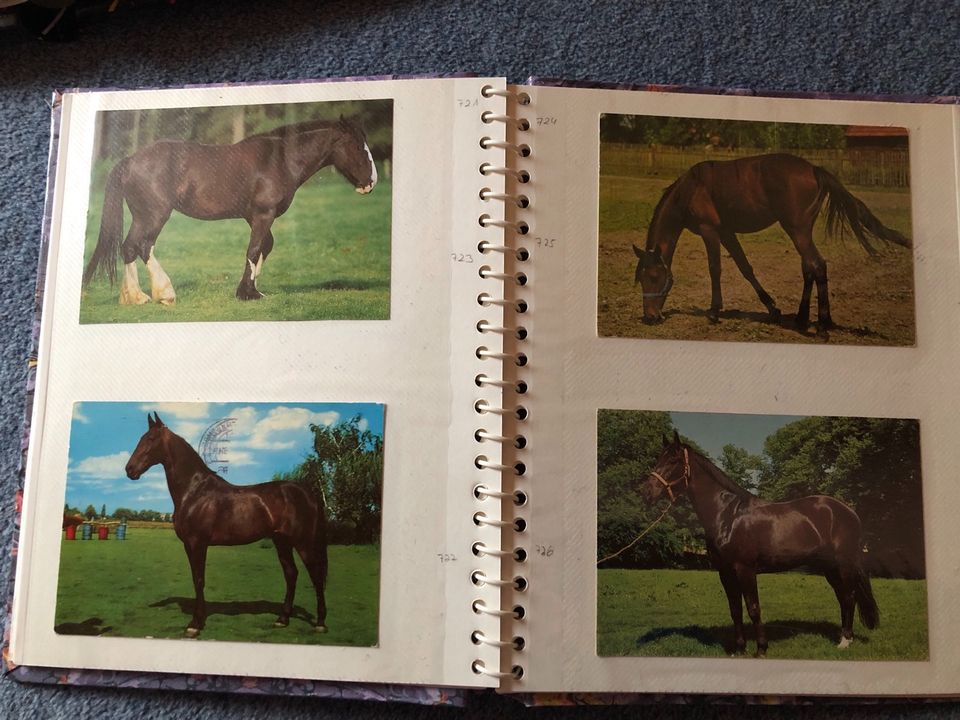 Postkarten alt Pferde in Oering