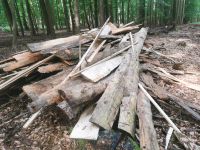 Bretter, Bohlen, Bonanza Bretter Schwartenbretter für Zaunbau Schleswig-Holstein - Havekost (b Schwarzenbek) Vorschau