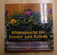 Blütenpracht für Fenster und Balkon von Claire Phoenix Niedersachsen - Bückeburg Vorschau