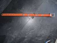 HUNTER Hundehalsband neu, orange, Leder, ca. 56 cm lang Hessen - Hasselroth Vorschau