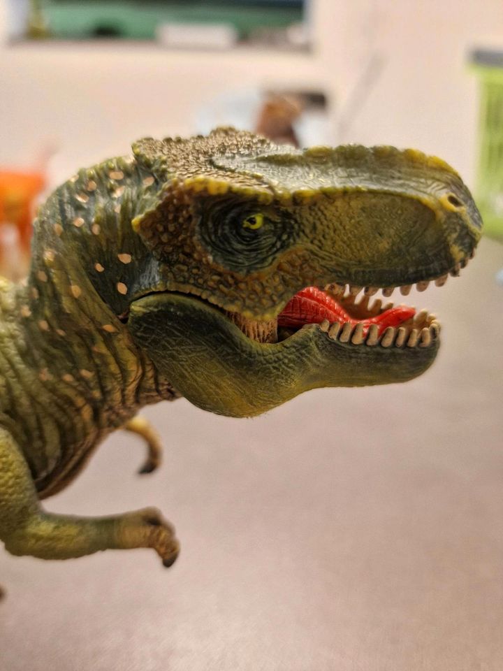 Schleich Tyranosuarus  Rex neuwertig in Aach