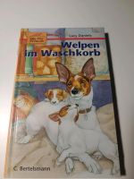 Kinderbuch Welpen im Waschkorb Lucy Daniels Niedersachsen - Jembke Vorschau