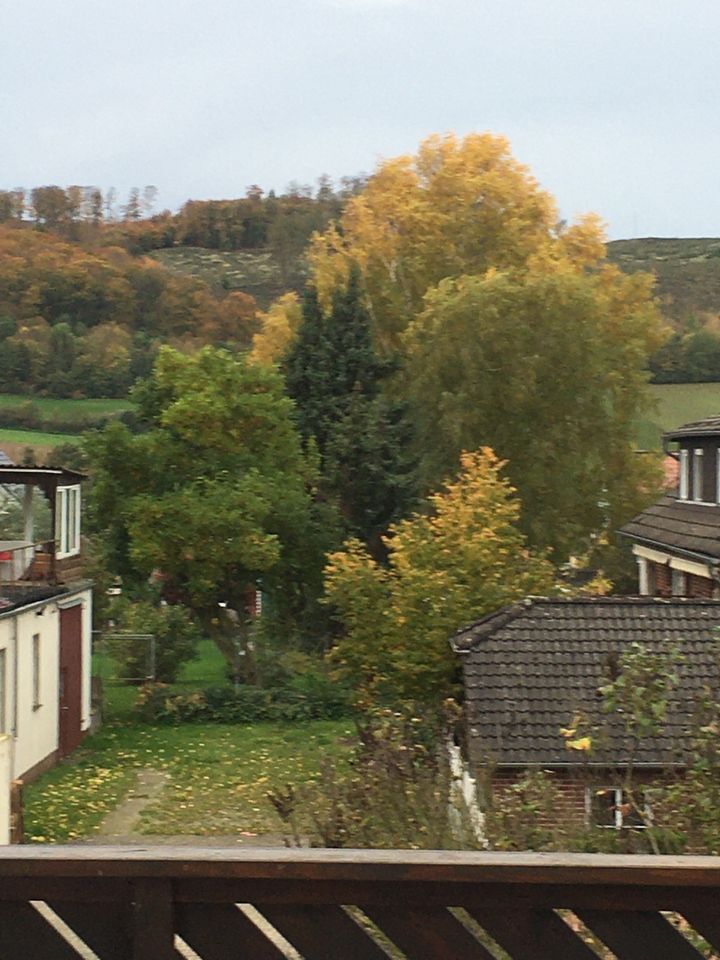 1-3 Familienhaus, Wohnhaus / Haus mit Gewerbeeinheit Bj.1994 in Kalefeld