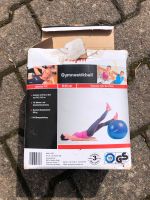 Gymnastikball 65 cm (Zubehör Pferd) neu, Bodenarbeit, Trail Rheinland-Pfalz - Mettweiler Vorschau