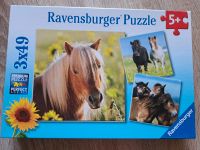 Pferde puzzle zu verkaufen -sehr guter Zustand Sachsen - Freiberg Vorschau