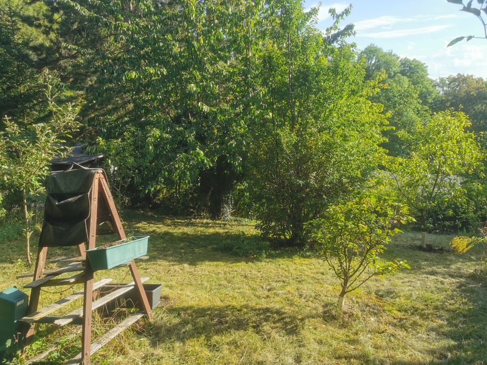 Garten Pachtgarten Privatgarten in Jena-Altlobeda zu verkaufen in Jena