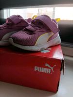 Puma Schuhe Brandenburg - Fürstenwalde (Spree) Vorschau