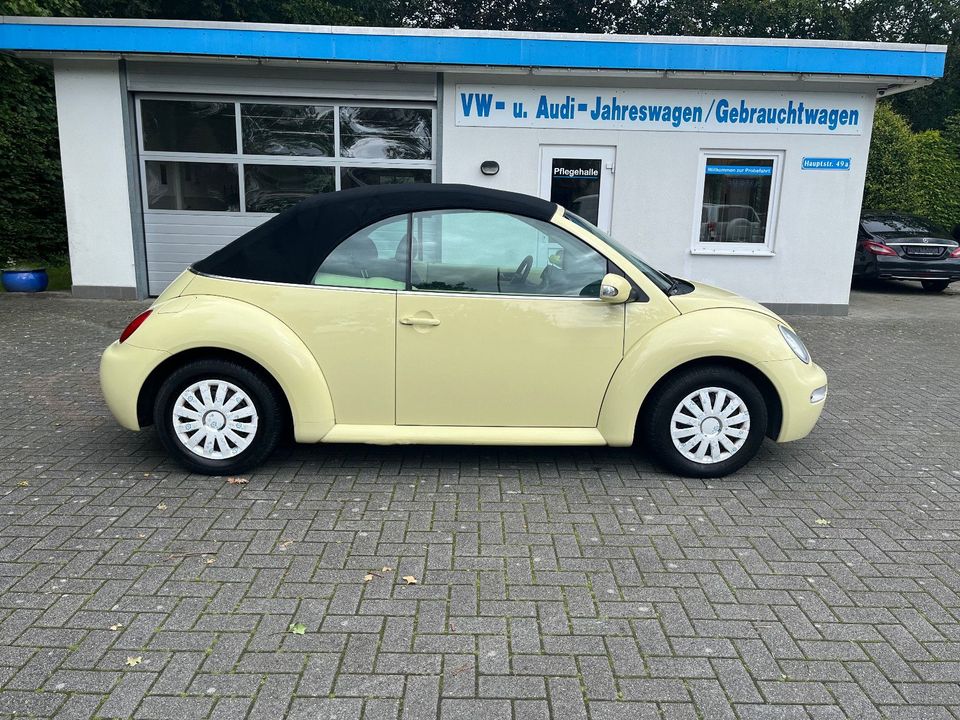 Volkswagen New Beetle Cabriolet 2.0 *TÜV NEU* in Wiefelstede