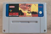 Super Nintendo- Samurai Showdown Bayern - Germering Vorschau