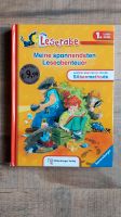 Leseabenteuer, Silbenmethode, Leserabe, Kinderbuch Baden-Württemberg - Ebhausen Vorschau