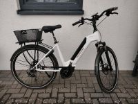 E-Bike Technibike E-City Pedelec *neuwertig Rheinland-Pfalz - Daun Vorschau