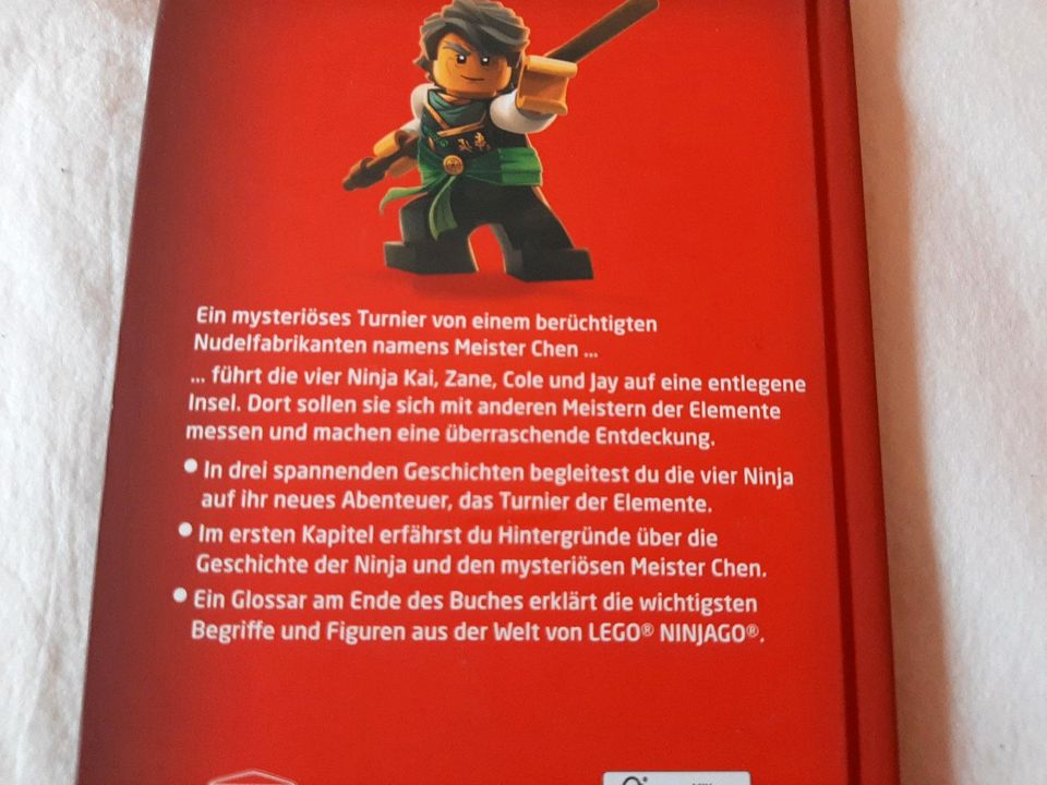 LEGO NINJAGO Meister der Elemente Buch lesen NEU in Waldmohr