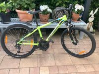 24 Zoll Mountainbike Rheinland-Pfalz - Münstermaifeld Vorschau