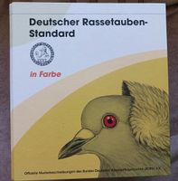 Deutscher Rassetauben Standart Brandenburg - Bestensee Vorschau