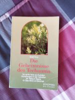 Die Geheimnisse des Teebaums,der sanfte Heiler aus Australien Bayern - Weißenburg in Bayern Vorschau