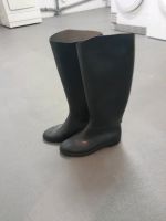 Reitstiefel, gebraucht, gut für Anfänger, Gr. 36 Hessen - Willingen (Upland) Vorschau