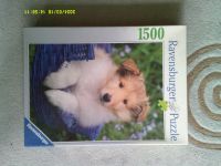 Ravensburger Puzzle, 1500 Teile, Hund, RAR, Nr. 163274 Thüringen - Bad Langensalza Vorschau