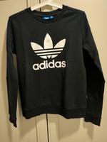 Pulli, Adidas, Kazak Hessen - Limburg Vorschau