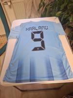Fußball  Trikot Gr.M. PUMA. HAALAND Bayern - Hof (Saale) Vorschau