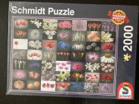 Puzzle Schmidt - 1500 Teile - OVP Hessen - Bruchköbel Vorschau