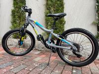 Haibike Seet Greedy 20“ Kinderfahrrad Mountainbike Fahrrad Hessen - Reichelsheim (Odenwald) Vorschau