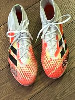 Prediator Fußballschuhe Größe 39/1/3 Baden-Württemberg - Radolfzell am Bodensee Vorschau