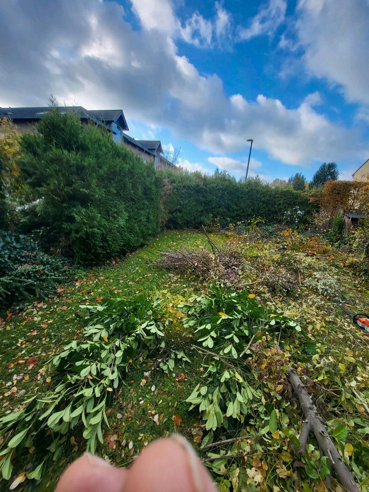 Garten Arbeit und Terrassenplatten kiramik in Düren