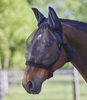 Fliegenmaske SOFT schwarz - mit Ohrenschutz Baden-Württemberg - Gunningen Vorschau