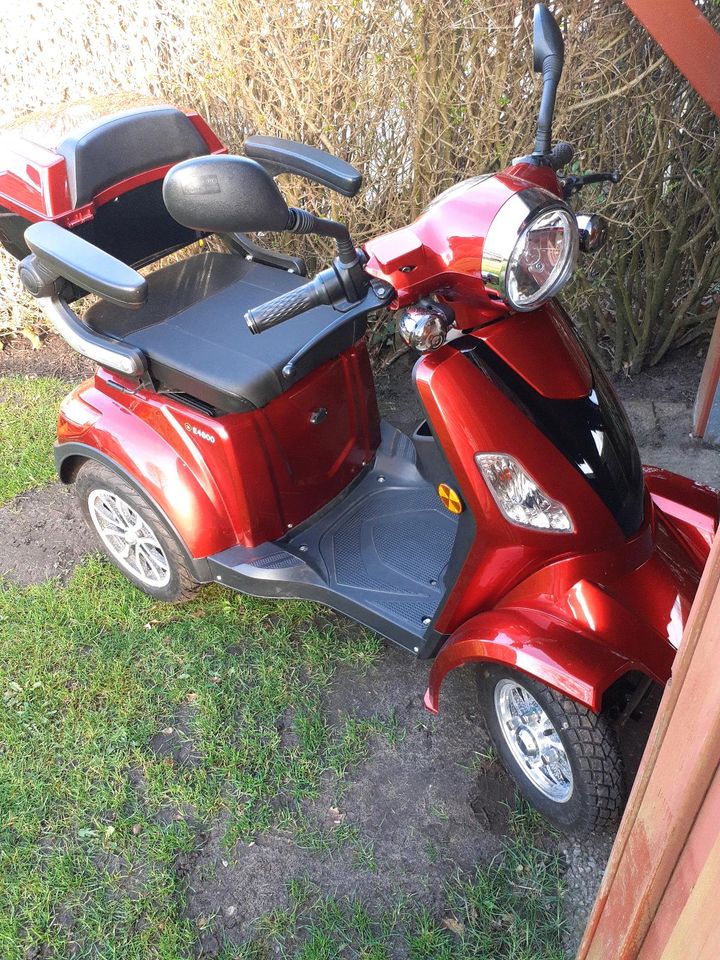 Elektro Scooter in Bredstedt