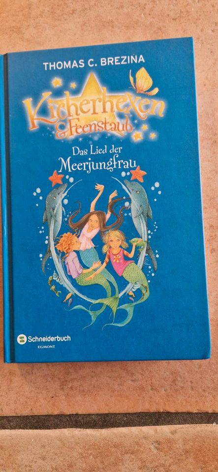 Buch Kicherhexen & Feenstaub Dad Lied der Meerjungfrau in Senden