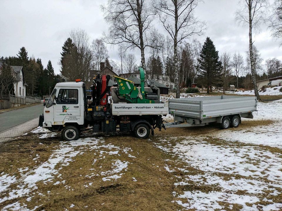 Baumfällung, Häckseln, Kronenpflege und Wurzelfräsen in Schöneck