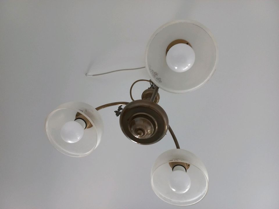 Deckenlampe im Gründerzeitstil in Dresden