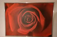 ❤️ IKEA Bild Rose 140 x 100 ❤️ Nordrhein-Westfalen - Windeck Vorschau