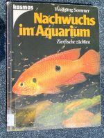 Nachwuchs im Aquarium Nordrhein-Westfalen - Lemgo Vorschau