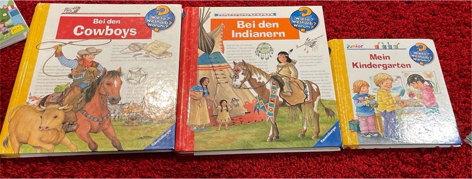 Wieso Weshalb Warum 3 Bücher in Deidesheim