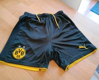 BVB Borussia Dortmund Shorts Brandenburg - Hohen Neuendorf Vorschau