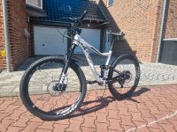 Liv Pique 2 Mountainbike Damen M Nordrhein-Westfalen - Neuss Vorschau