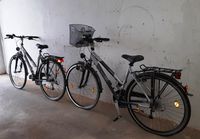 2-er Pack Panther Select Damen Fahrrad 28 Zoll silber-schwarz Hessen - Hessisch Lichtenau Vorschau