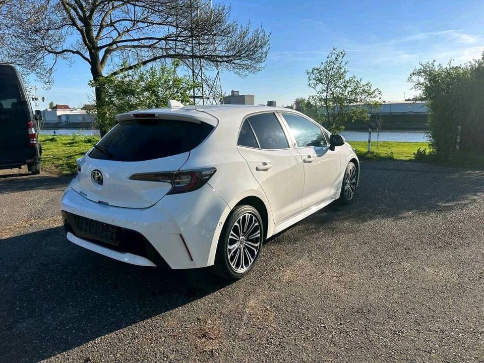 Toyota Corolla Team Deutschland  Touring Sports in Mannheim