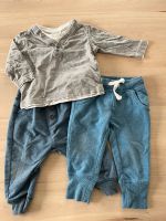 Pullover Longsleeve Hosen Jogginghosen Set Gr. 74 Baby blau grau Niedersachsen - Peine Vorschau