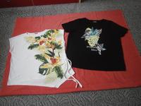 2 Shirts von Laura Torelli, Sommerfeeling, Gr. 48/50 - neu - Berlin - Spandau Vorschau