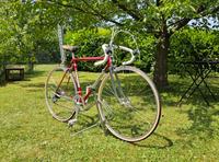 Colnago Super, Rennrad, RH 51cm, Saronni rot, Eroica, Top Zustand Nordrhein-Westfalen - Hagen Vorschau