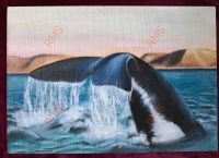 Orca vor der Küste, großes Gemälde, Acryl auf Platte, J. Huft Niedersachsen - Dassel Vorschau