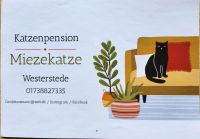 Katzenpension - Katzenbetreuung Miezekatze Niedersachsen - Westerstede Vorschau