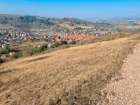 Wanderwege mähen/mulchen Rheinland-Pfalz - Bad Kreuznach Vorschau