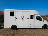 STX Renault Master 5 Sitzer ex. lang & Steinsberger 2 Pferdeanh. Schleswig-Holstein - Rendsburg Vorschau